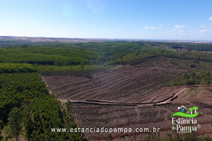 ALTO 360.00_03_04_08.Quadro008_d1d1a4a4fc9fe5eb069c19b4f8de60c9a7535c9d.jpg